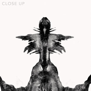 Close up of a digital design depicting the sixth Rorscharch drawing. Perfect for psychotherapists. From the Rorscharch collection.