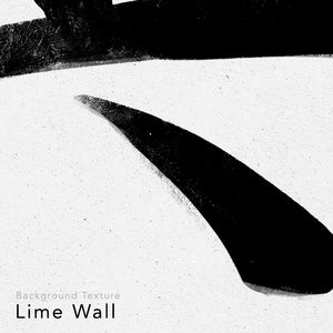 Close up 24x36 inch canvas depicting the kanji symbol representing True. Black ink on a Lime Wall background. From the Kanji collection.