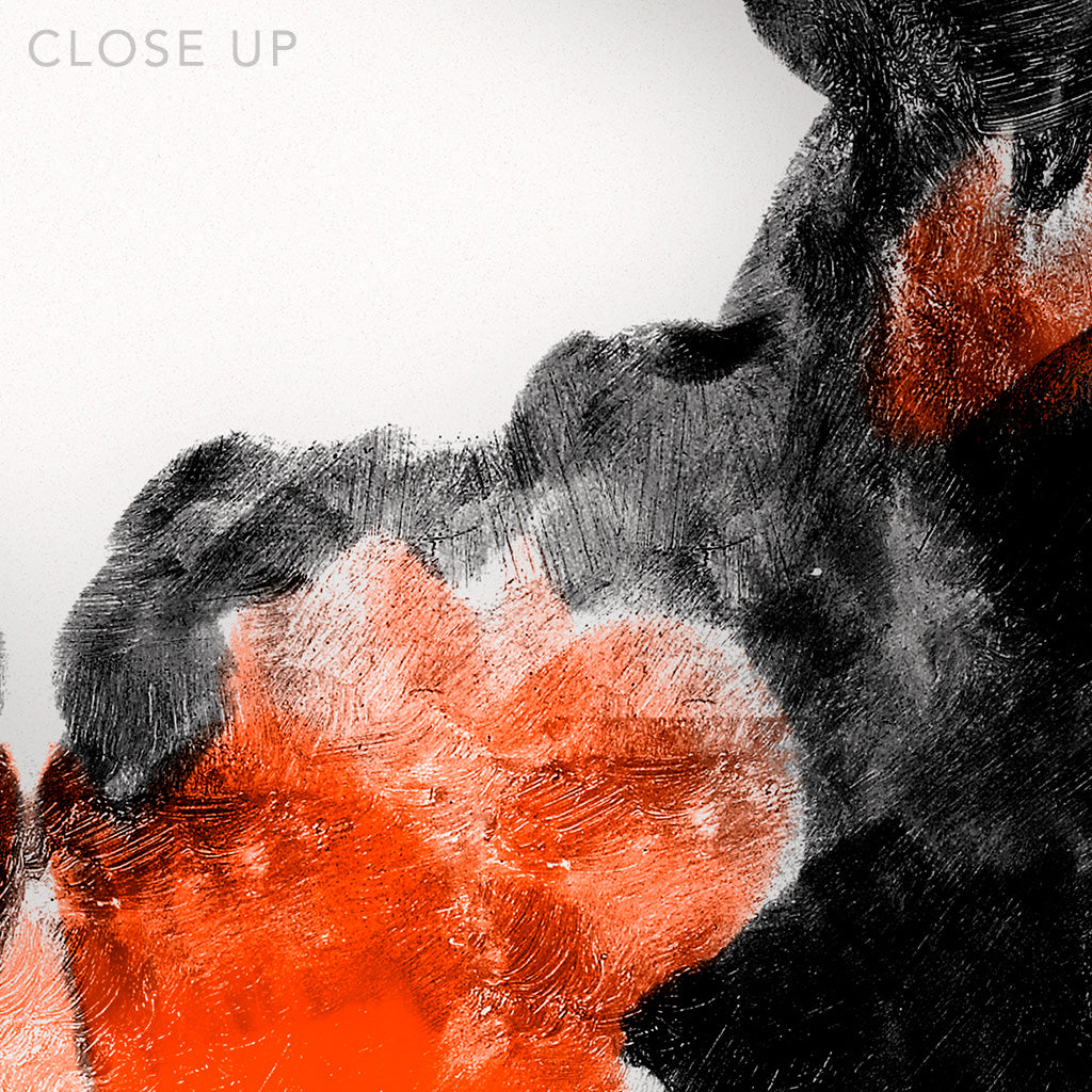 close up of a digital design depicting the second Rorscharch drawing. Perfect for psychotherapists. From the Rorscharch collection.