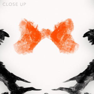 Close up on a digital design depicting the third Rorscharch drawing. Perfect for psychotherapists. From the Rorscharch collection.