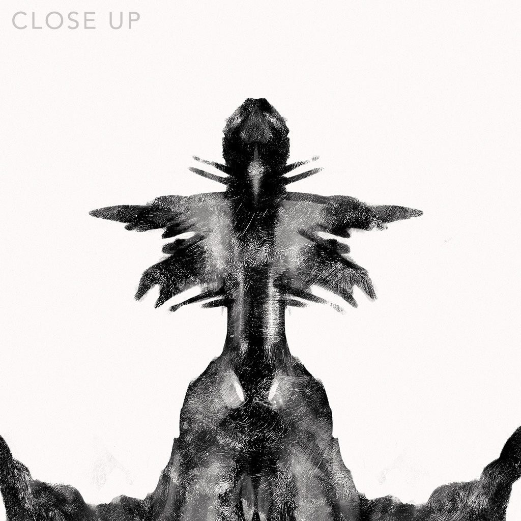 Close up of a digital design depicting the sixth Rorscharch drawing. Perfect for psychotherapists. From the Rorscharch collection.